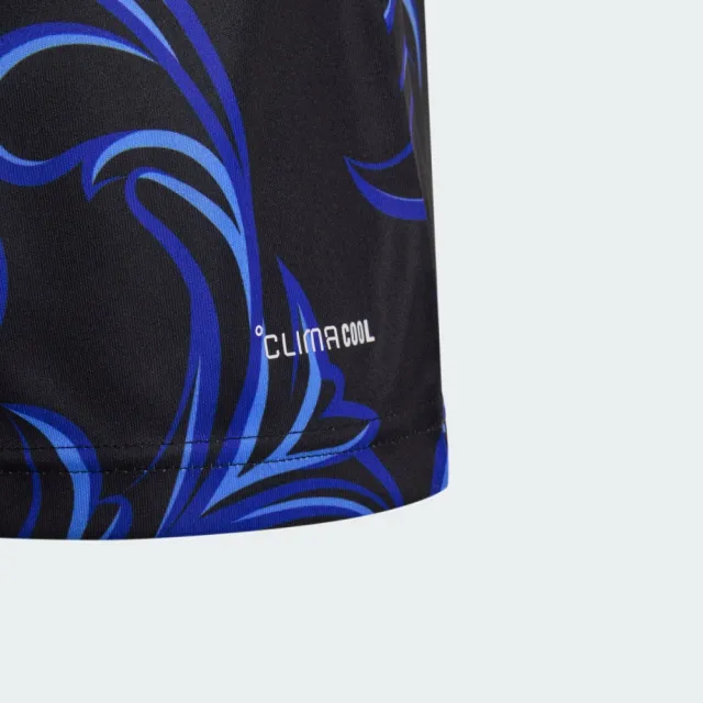 Lionel Messi Argentina National Team 2026 Away Player Jersey - Black