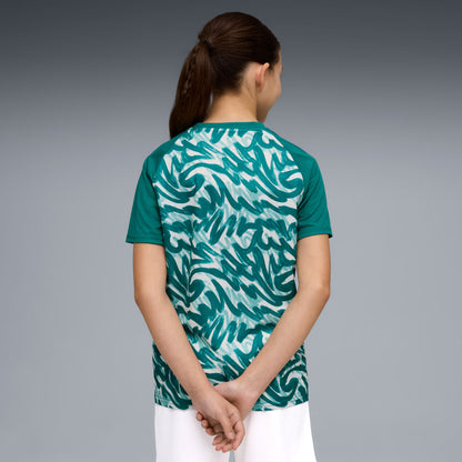 Portugal National Team Youth Pre-Match Jersey - Green