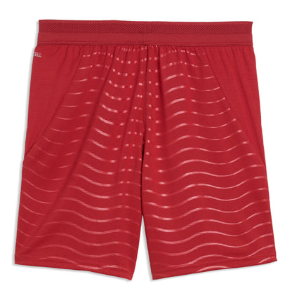 Portugal National Team Youth 2026 Replica Shorts - Red