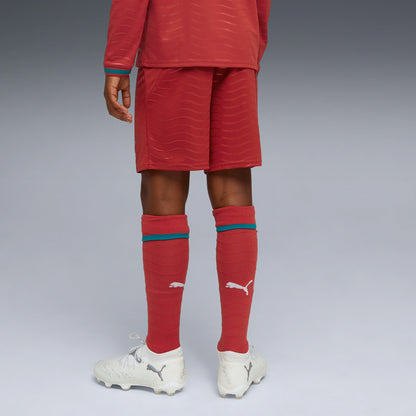 Portugal National Team Youth 2026 Replica Shorts - Red