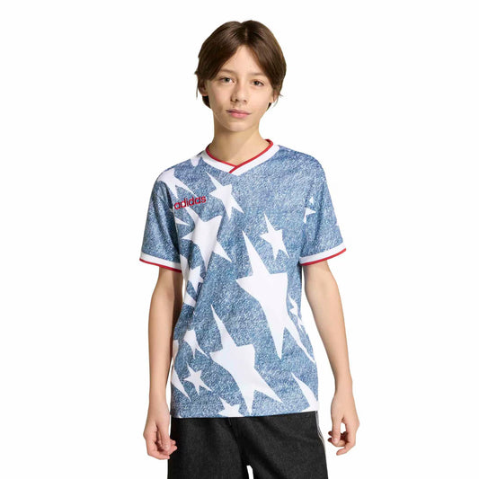 Youth  USA 1994 Denim Graphic Fashion Jersey - Blue